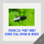 러브버그는 익충 해충 오해와 진실 대처법 총정리